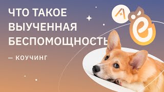 Что такое выученная беспомощность?