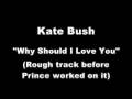 Kate Bush Why Should I Love You Demo mp3
