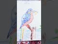 some beautiful paintings 🤩