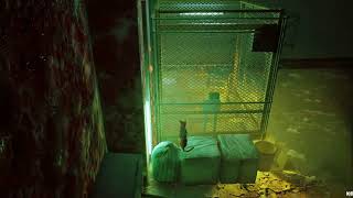 Stray Chapter 5 Rooftops Walkthrough  -NO COMMENTARY-