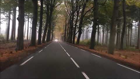 Autumn the chasing car and the running forest…