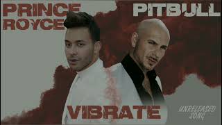 Pitbull - Vibrate (Feat. Prince Royce) (Unreleased Song 2022)