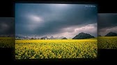 風潮音樂 花神 正月 梅花花神壽陽公主 Youtube