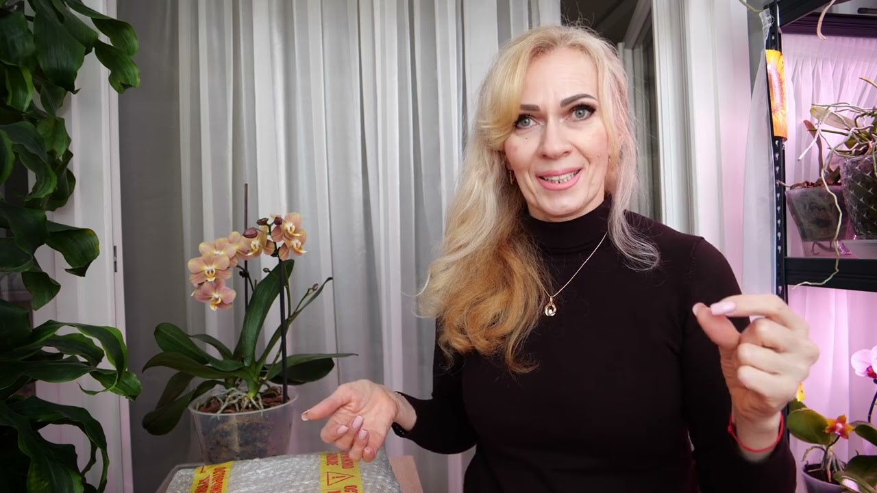 Орхидею замочила в воду и забыла| Новые кашпо| Желтеют и опадают листья орхидей Перекос в удобрениях