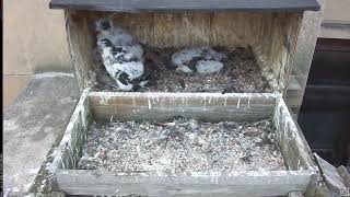 Main Camera - 06/05/26