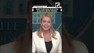 Press Secy Karoline Leavitt Confirms Trump To Host Israeli Pm Netanyahu For Bilateral Meeting