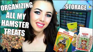 ALL MY HAMSTER TREATS! | Organizing my Hamster Treat Collection