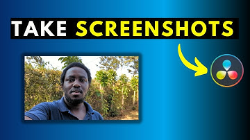 How to Take High-Quality Screenshots or Image Stills in DaVinci Resolve