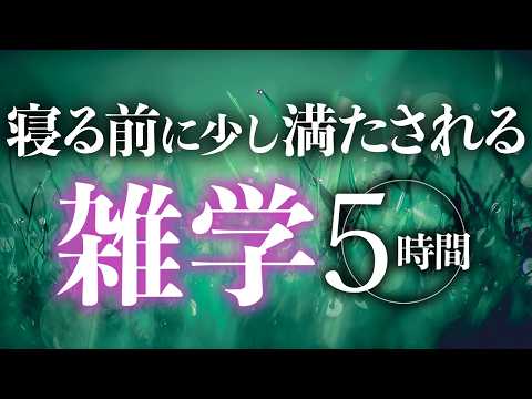 【睡眠導入】寝る前に少し満たされる雑学5時間【合成音声】