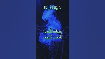 سورة الفاتحة 🤍 بصوت الشيخ محمد اللحيدان #القرآن_الكريم #اكسبلور #المغرب #تيك_توك#الجزائر #راحة_نفسية
