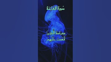 سورة الفاتحة 🤍 بصوت الشيخ محمد اللحيدان #القرآن_الكريم #اكسبلور #المغرب #تيك_توك#الجزائر #راحة_نفسية