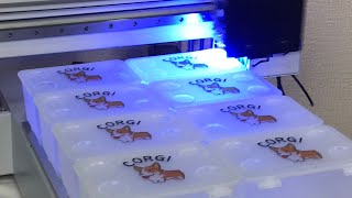 Step by Step UV Print Multiple Items ｜ Introduction Overview screenshot 4