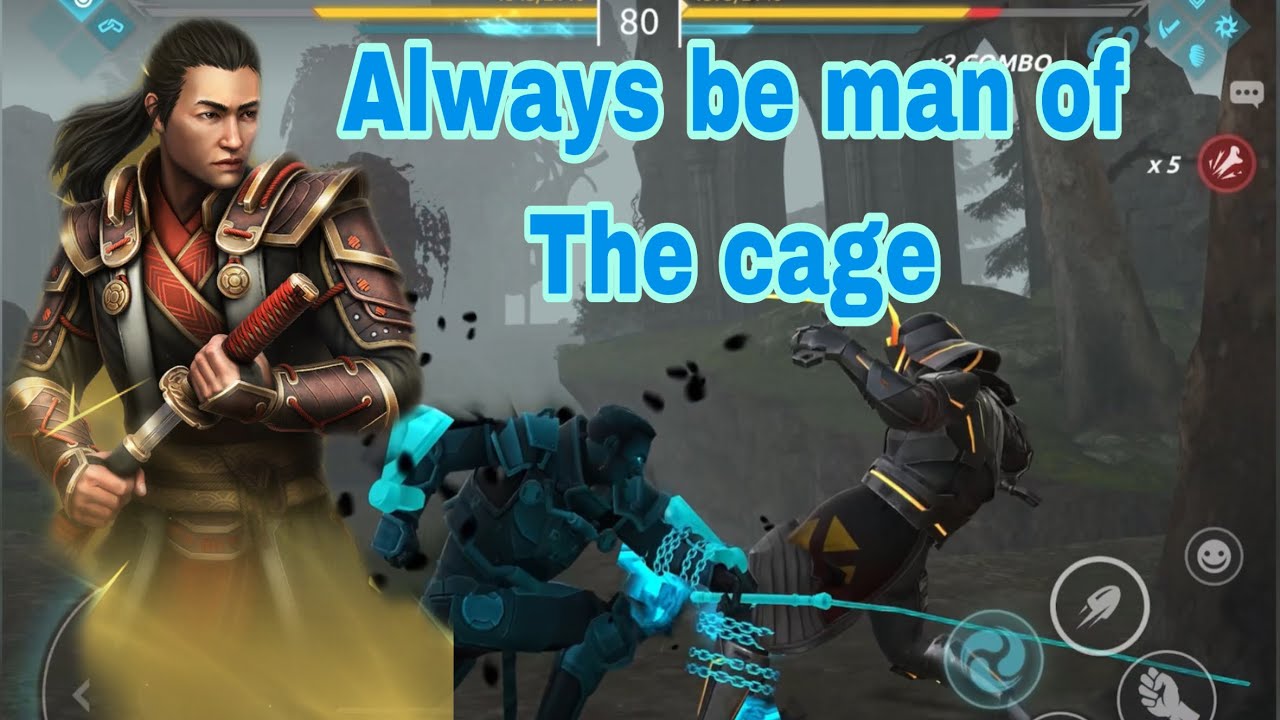 shadow fight 4 arena when I use promo code 2023 and this happened