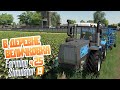 Поле таки украли. Что будем делать? - ч25 Farming Simulator 19