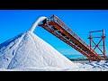 How salt is made from seawater  largest salt production factory in the world