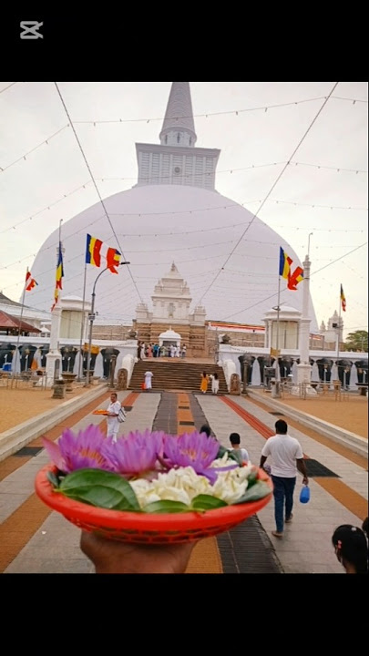 සාදූ කියා යන්න 🙏🙏🙏🙏 #srilanka #budddha #budhism