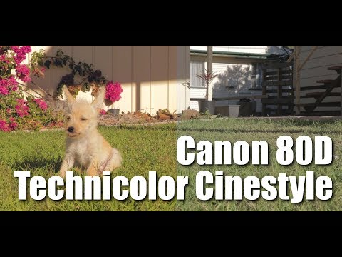 Canon EOS 80D | Technicolor Cinestyle Profile Test