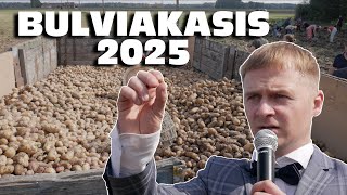 BULVIAKASIS 2025
