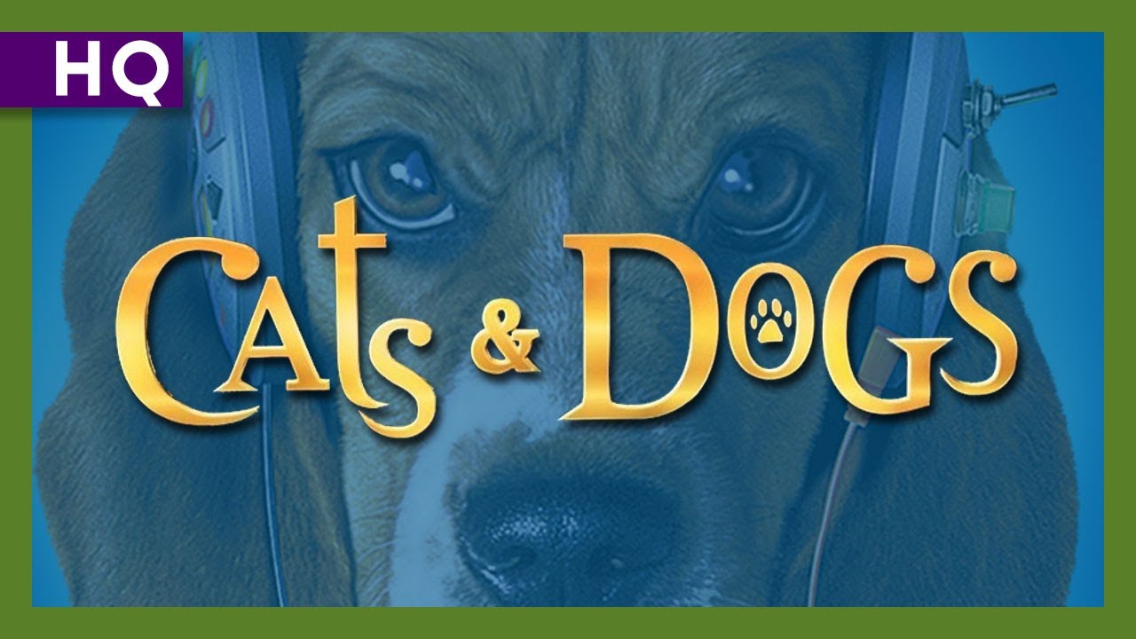 Cats & Dogs 31122023