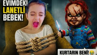 Katil oyuncak bebek evimize geldi.