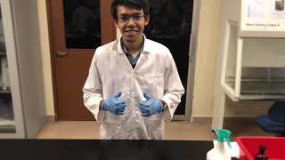Bacterial Smear Preparation and Simple Staining [READ DESCRIPTION]