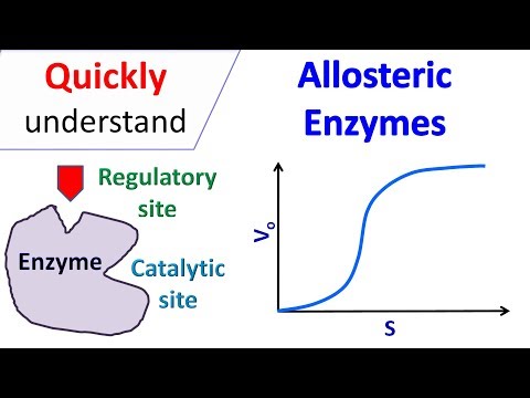 Allosteric enzymes