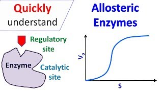 Allosteric enzymes