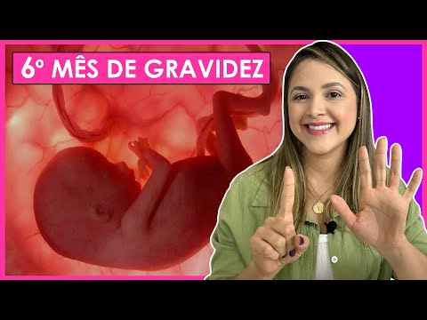 6 MESES DE GRAVIDEZ - SINTOMAS DE GRAVIDEZ, EVOLUÇÃO DO BEBÊ E MUITO MAIS