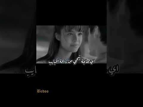 عمرو دياب ريحة الحبايب