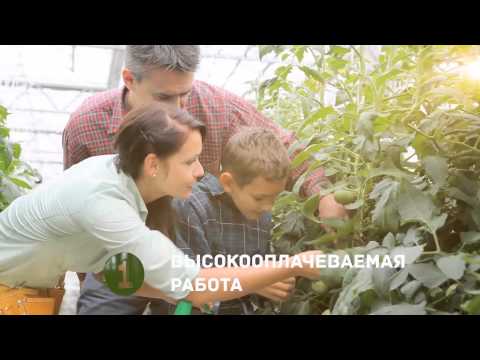КАК ПОСТРОИТЬ ЭКОЛОГИЧНЫЙ ДОМ ПОСТРОИТЬ ДОМ В ЭКОПОЛИСЕ СТРОИТЕЛЬСТВО ДОМА-20-08-2015