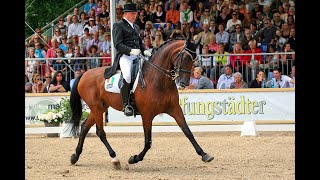 DANE RAWLINS • LONG LINING YOUR HORSE