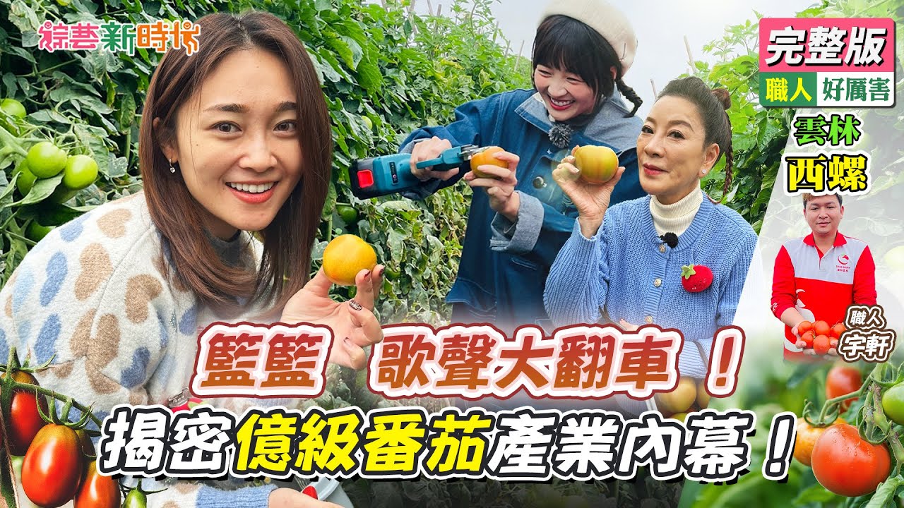 籃籃歌聲大翻車 楊繡惠顏值逆襲！揭密億級番茄產業內幕【綜藝新時代】 2025.03.14