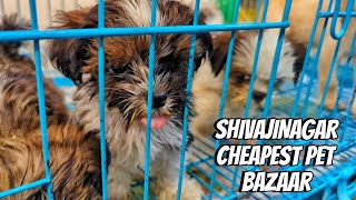 Shivajinagar cheapest pet Bazaar in Bangalore #pet #petsbazar #shivajinagar #bangalore