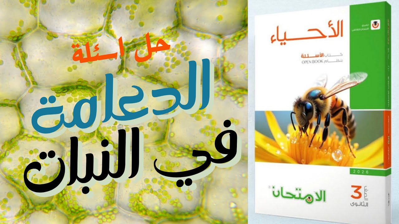 حل اسئلة كتاب الامتحان كاملة في الدعامة في النبات 2026 الدرس الاول احياء ٣ ثانوي
