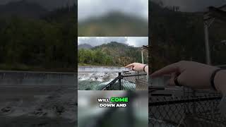 Whitewater Kayakers Brave the River #shorts