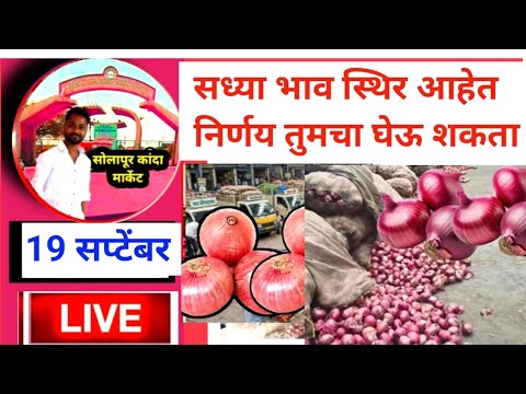 kanda Market bhav / solapur kanda market live today 19 सप्टेंबर आजचे लाईव्ह