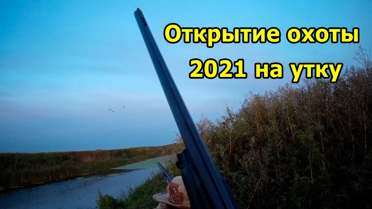 Охота На Уток 2022 Год Новое Видео Охота На Уток 2022 Год Новое Видео