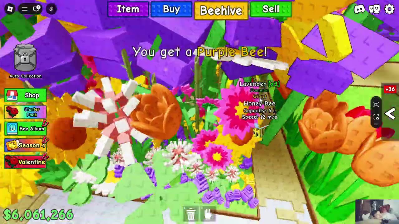 beehive roblox gabut