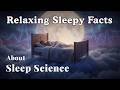 The Most Relaxing Facts About Sleep Science to Fall Asleep To