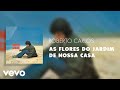 Roberto Carlos - As Flores do Jardim de Nossa Casa (Áudio Oficial)