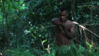 Man primitively survives in the jungle: creates a lizard trap learned from his ancestor Timelapse Survival Skills Surviving In The Forest By Catching Lizards For Sustenance