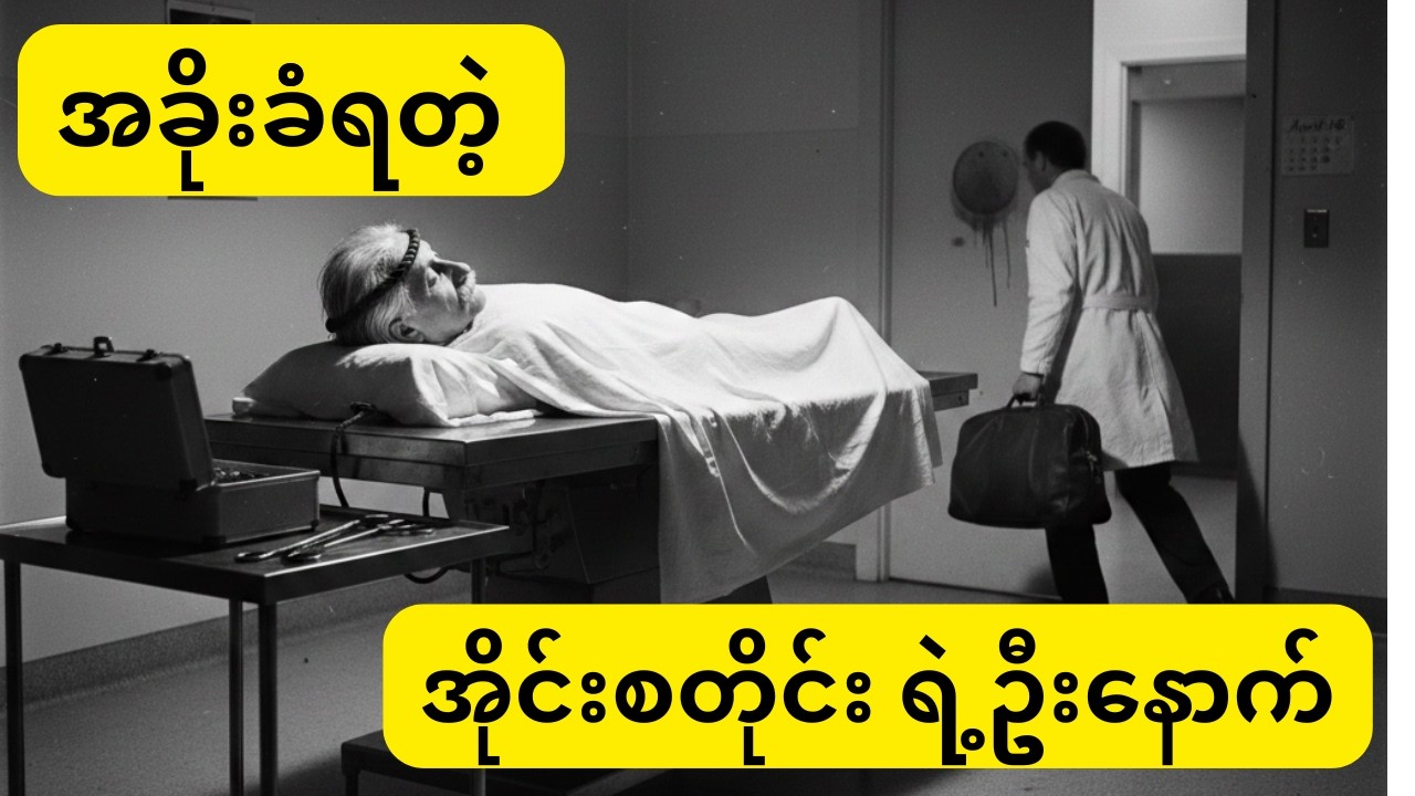 ခိုးယူခံရတဲ့ ဦးနှောက် - အိုင်စတိုင်းရဲ့ လျှို့ဝှက်ချက်