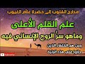 علم القلم الأعلى وماهو سر الروح الإنساني فيه ومن ه م الخلفاء الذين حازوا على هذه الرتبة علم القلم الأعلى وماهو سر الروح الإنساني فيه ومن ه م الخلفاء الذين حازوا على هذه الرتبة