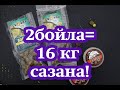 2бойла=16 кг сазана!