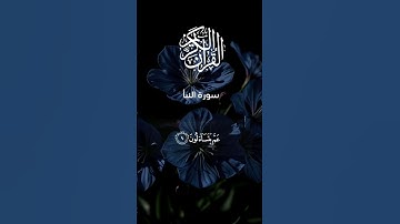 ماتيسر من سورة النبأ تلاوة خاشعة