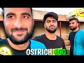 Har funn maula ft turab and sabtain   shehr main dihat  editing 