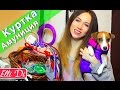 ХРАНЕНИЕ ВЕЩЕЙ МОЕЙ СОБАКИ - ОБЗОР НОВОЙ КУРТКИ AIRY VEST - АМУНИЦИЯ COLLAR | Elli Di Pets