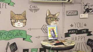 Superstar Pet Studio Cafe - Teaser