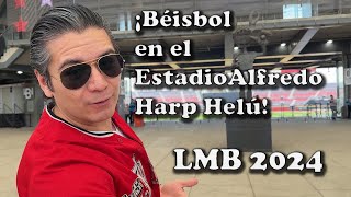 Béisbol en el Estadio Alfredo Harp Helú | Comida y bebidas en 2024 | CDMX | Ft. @ViajanMucho
