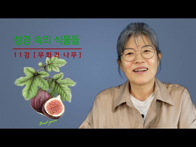 11강 - '성경 속의 식물들'에 감추어진 의미들 [무화과 나무 1부] / 남은순의 요벨 TV class=